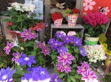 もうすぐ母の日！｜「花和商店」　（京都府宇治市の花キューピット加盟店 花屋）のブログ