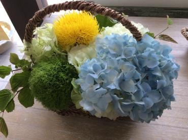 あじさい｜「花和商店」　（京都府宇治市の花キューピット加盟店 花屋）のブログ