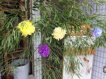☆☆☆｜「花和商店」　（京都府宇治市の花キューピット加盟店 花屋）のブログ